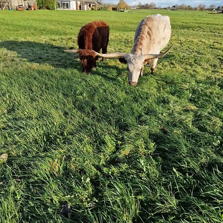 アッカースロートBed&Bbq Longhornranchアパートメント エクステリア 写真