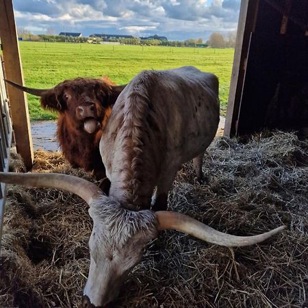 アッカースロートBed&Bbq Longhornranchアパートメント エクステリア 写真